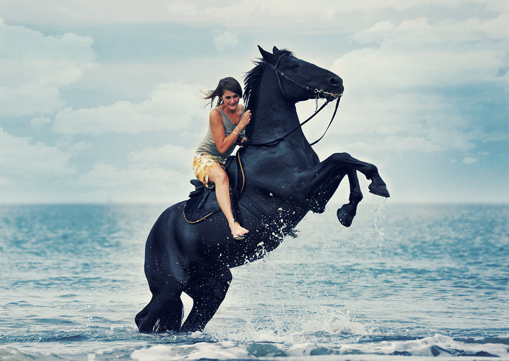 Riding Horse @ Expression – Premium Photography WordPress Theme